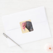 Closeup turkey vulture vierkante sticker (Envelop)