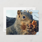 Closeup Yummy Briefkaart (Voorkant / Achterkant)