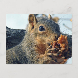 Closeup Yummy Briefkaart