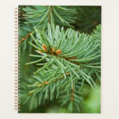 Closeuse de pin (Devant)