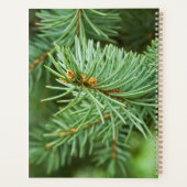 Closeuse de pin (Dos)