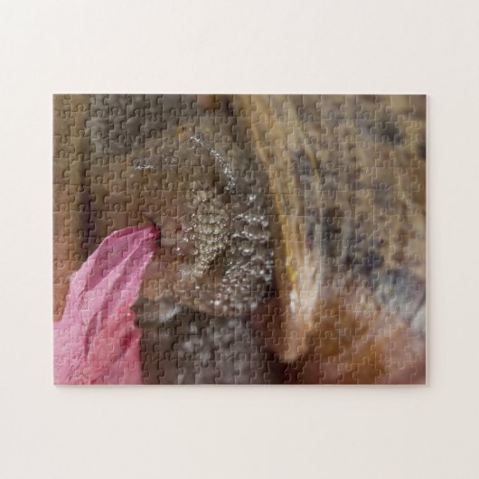 Closeuse Snail Manger Papier Bizarre Puzzle (Horizontal)