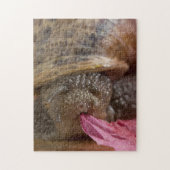 Closeuse Snail Manger Papier Bizarre Puzzle (Vertical)