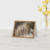 Clôture Alpaca - Carte (Fleur jaune)