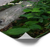 Clôture avec affiche Fleur sauvage (Coin)