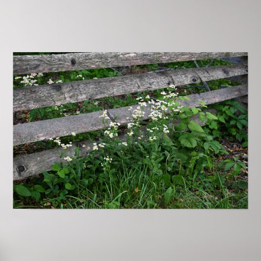 Clôture avec affiche Fleur sauvage (Devant)
