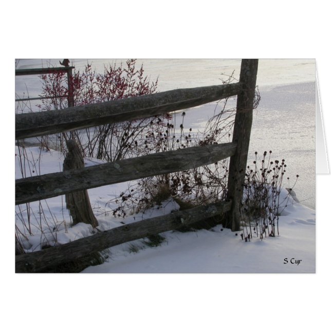 clôture d'hiver, S Cyr (Devant horizontal)