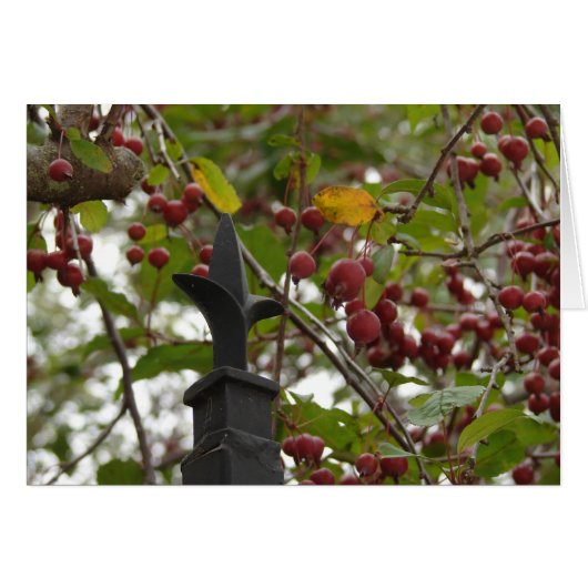 Clôtures et crabes (Devant horizontal)