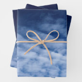 Clouages esthétiques Enveloppement de feuilles pla (En situation)