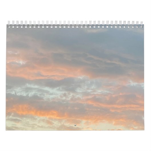 Cloud Neuf Calendrier de 12 mois 2025 (Protection)