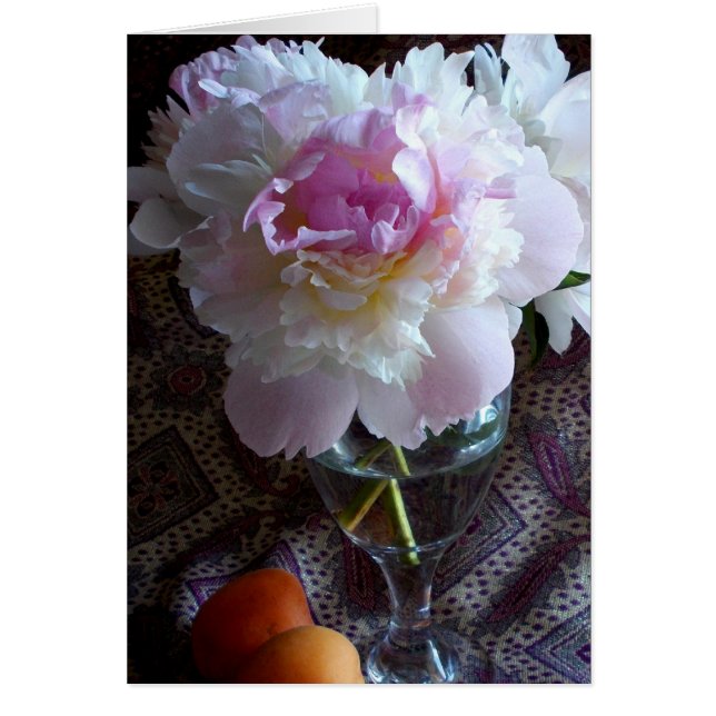 Cloud Pink Peony (Voorkant)
