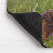 Cloudberry Mousepad Muismat (Hoek)