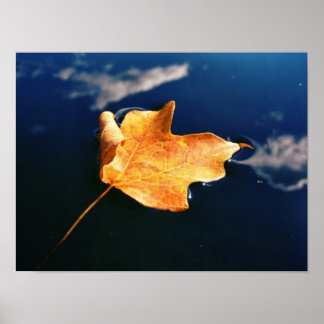 clouddanser (automatisch gerangschikt) poster