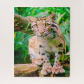 Clouded Leopard Big Cat's Jigsaw Puzzle Legpuzzel (Verticaal)