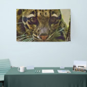 Clouded Leopard Spandoek (Beurs)