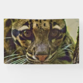 Clouded Leopard Spandoek (Horizontaal)