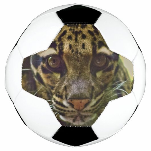 Clouded Leopard Voetbal (Voorkant)