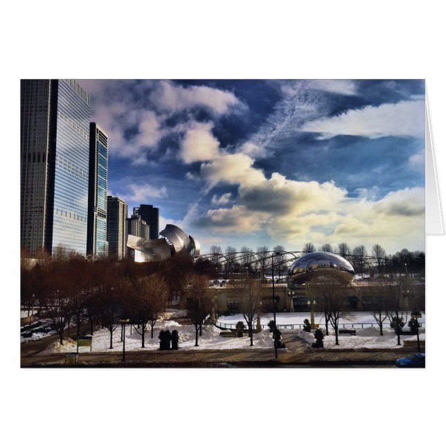 Cloudgate in Millennium Park Chicago (Voorkant Horizontaal)