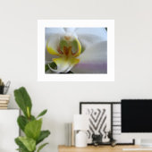 Clouds à orchidées blanches Phalaenopsis Poster Ar (Bureau à domicile)