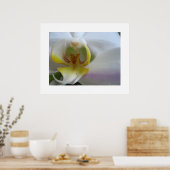 Clouds à orchidées blanches Phalaenopsis Poster Ar (Cuisine)