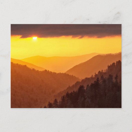 Clouds Fills Valley, Tennessee Briefkaart (Voorkant)