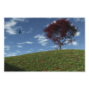 Clouds gaan winkelen door foto's af te drukken foto afdruk