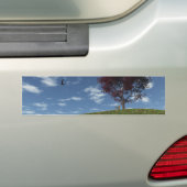 Clouds Go Voile Par Bumper Sticker (En voiture)