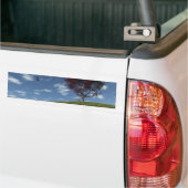Clouds Go Voile Par Bumper Sticker (Sur camion)