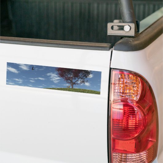 Clouds Go Voile Par Bumper Sticker (Sur camion)