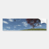 Clouds Go Voile Par Bumper Sticker (Devant)