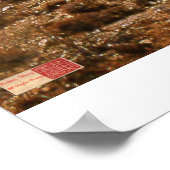 Clouds Rising - Arizona Desert Poster (Hoek)