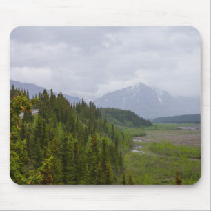 Cloudy in Denali Muismat