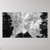 Cloudy Skies, Poster (Voorkant)