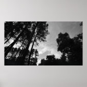 Cloudy Skies, Poster (Voorkant)