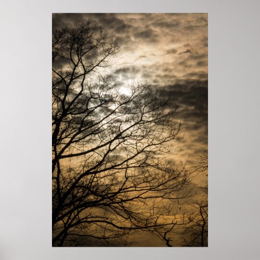 Cloudy Sun Scene Poster (Voorkant)