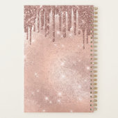 Clous Moderne Rose Gold Parties scintillant Drives (Dos)