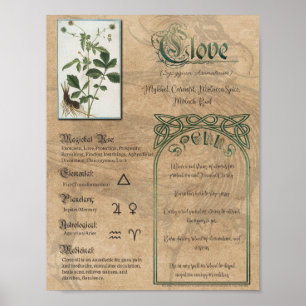 Clove Herbal Book of Shadows Pagan Wiccan Poster