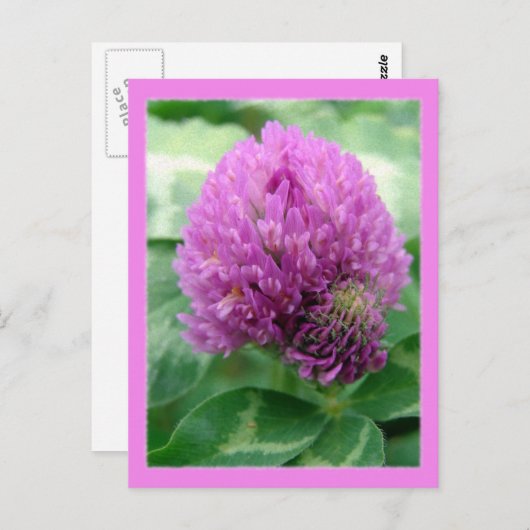 Clover Art Briefkaart (Voorkant / Achterkant)