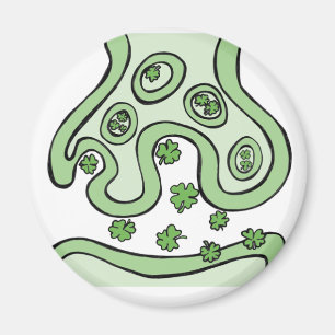 Clover Neurotransmitters Magneet