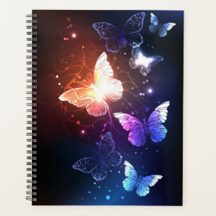 Clowing Night Butterflies
