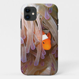Clown Fish iPhone 5 Hoesje