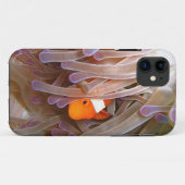 Clown Fish iPhone 5 Hoesje (Achterkant (horizontaal))