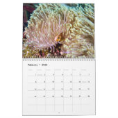 Clown Fish Kalender - Anemone Fish (Feb 2026)
