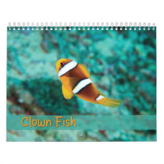 Clown Fish Kalender - Anemone Fish
