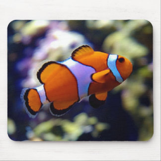 clown fish muismat