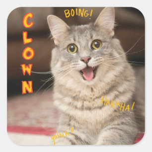 clown kat vierkante sticker