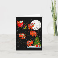 Clown Vis Santa Slede Vliegend Grappig Magisch Ker