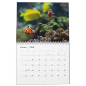 Clownfish 2025 kalender (Jan 2026)
