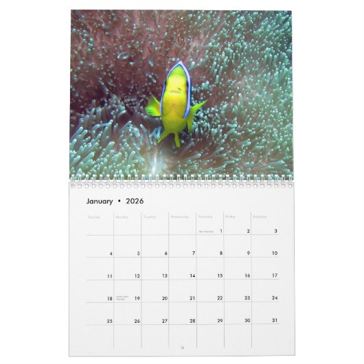 Clownfish de calendrier des Fidji 2015 (Jan 2026)