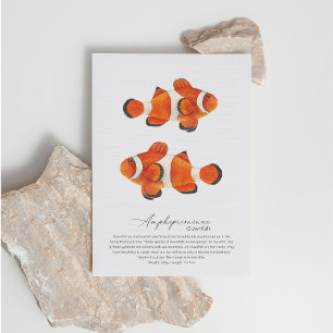 Clownfish Postcard Feestdagenkaart